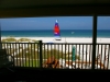 sunny_day_7