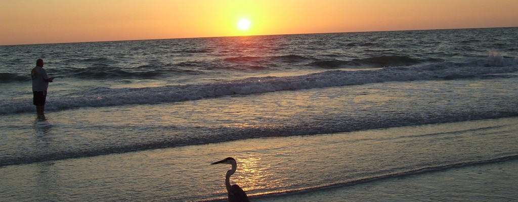 Slider Image 3 1